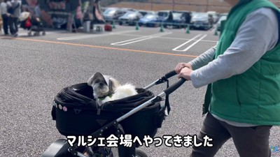 イベント会場に到着