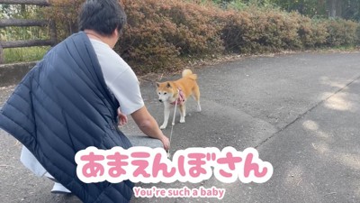 抱っこしようとしたら寄ってきました