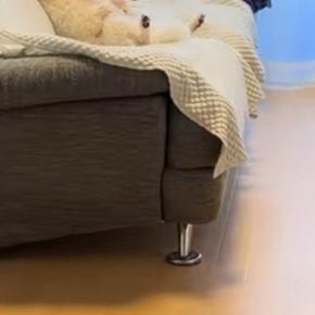 トイレから部屋に戻った結果→なぜか犬が『ソファ』にいて…人間にしか見えない『くつろぎ過ぎな光景』が42万再生「爆笑ww」「犬やめてて草」