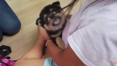 穏やかな初対面になった
