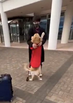 男性に飛びつく犬