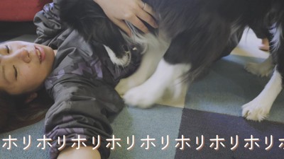 「遊ぼうよ!」と床をホリホリ