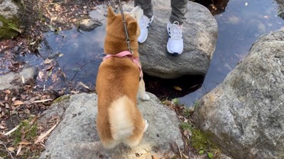 「怖いから抱っこして~」