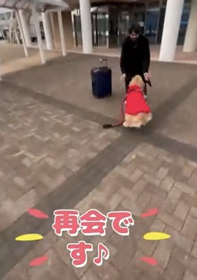 男性のもとへ駆け寄る犬
