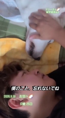 眠っている犬の顔を撫でる男の子