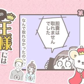 うちの王様にはどうしても抗えない【第379話】「バンビ闘病記・手術③」