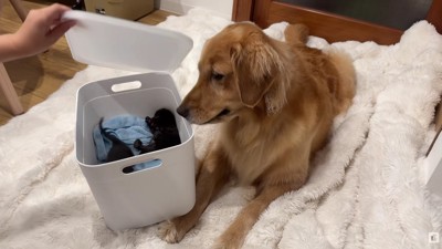 ヒナタちゃんとの交流