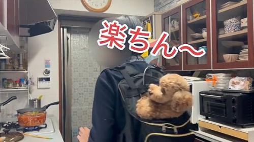 移動するバッキーくん
