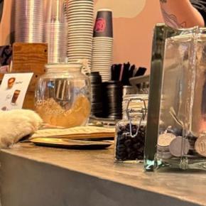 『カフェラテ、ひとつください』大型犬がカフェのカウンターで…仕事にならない『お客さん』に悶絶「上目遣いで最高」「本当に注文してる？ｗ」