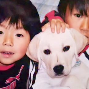 小さい頃から男の子たちと育った大型犬→闘病の末、お別れが訪れ…忘れられない『17年間の記憶』が25万再生「大切な宝物」「涙がとまらない」