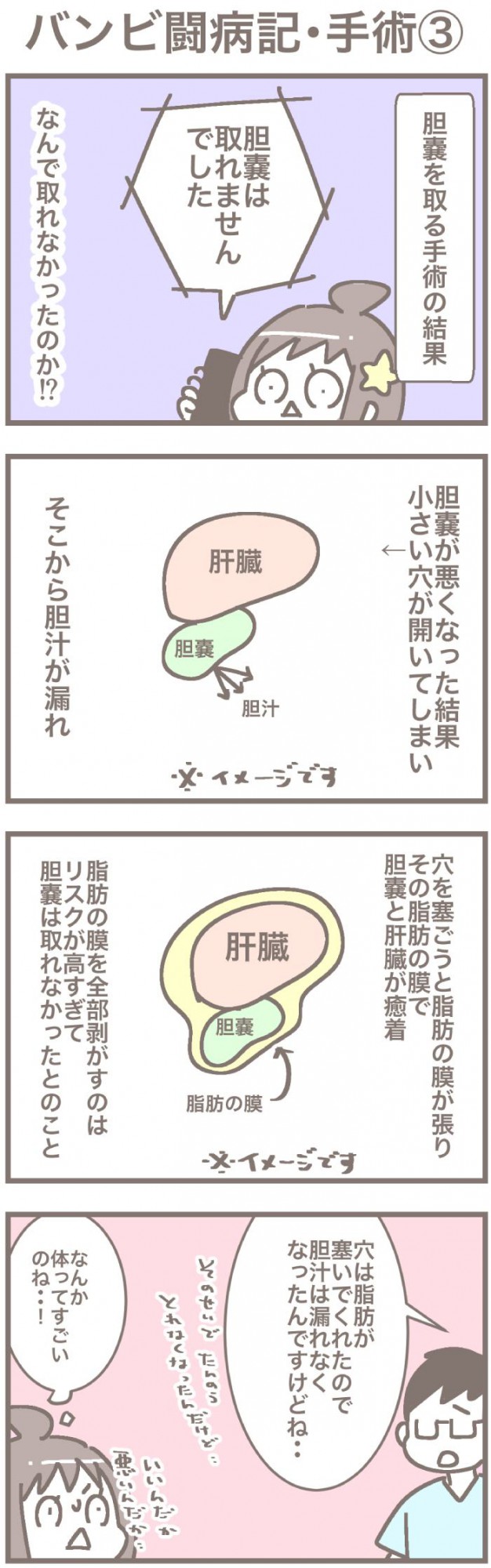 うちの王様にはどうしても抗えない【第379話】「バンビ闘病記・手術③」
