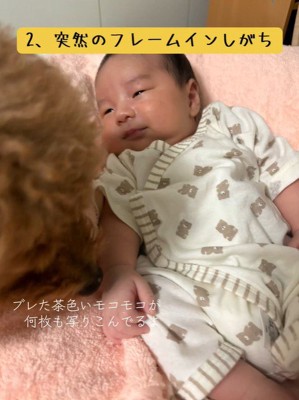 クンクン匂いをチェック♪