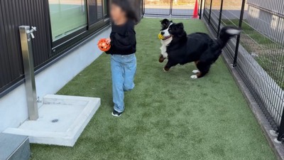 無邪気にはしゃぐ姿が尊い!