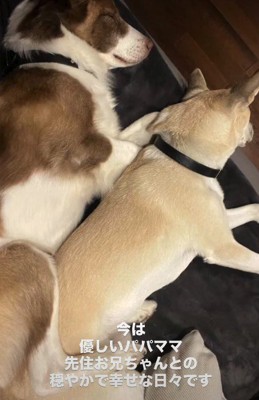 今はすっかり幸せです