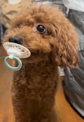 キョトン顔でキョロキョロ…