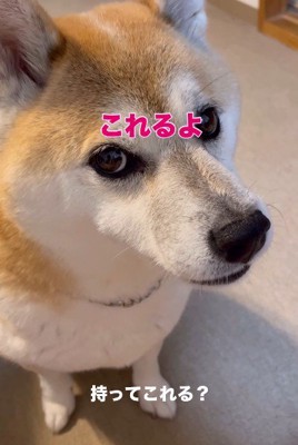 「できるにきまってる」