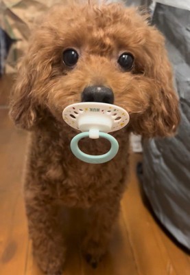 おしゃぶりをくわえています！