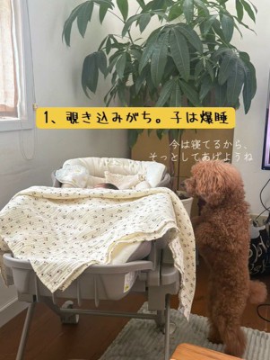 赤ちゃんが寝ている時も興味津々！