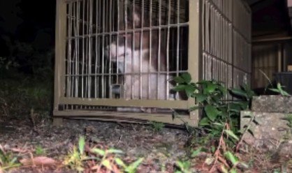 ついに捕獲成功！！