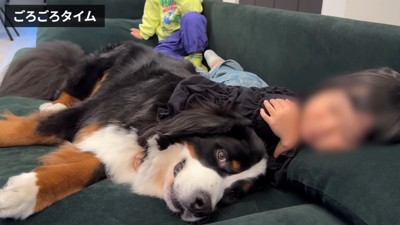 寄り添ってゴロゴロ♡