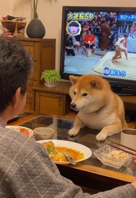 食事の見守りが日課