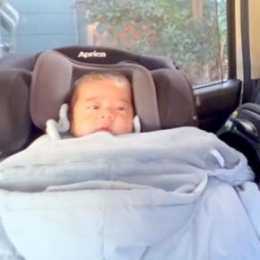 赤ちゃんと初めて『車でお出かけ』することになった大型犬→車体が揺れるほど大興奮して…微笑ましい光景に反響「幸せな犬生」「めっちゃ可愛い」