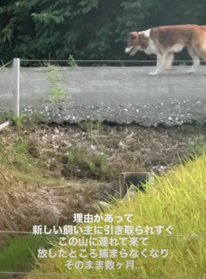 危険な山生活から救いたい