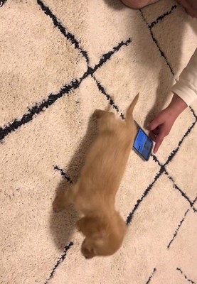 「今の何！？怖いよ～」