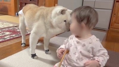 「なにも問題ない?」