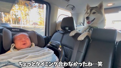 起きだした赤ちゃん