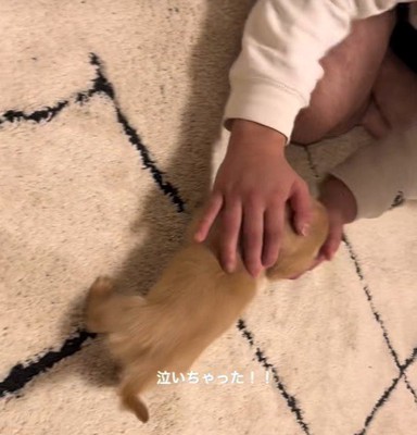 ナデナデして慰めたら…
