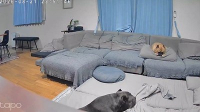 レティちゃんとの思い出