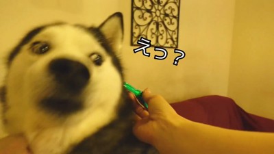 「えっ、まさか薬!?」