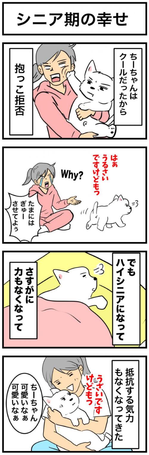 ちーちゃんですけどもっ【第381話】　1