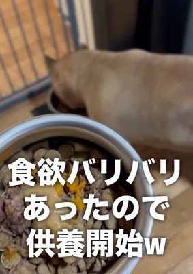 意外にも元気そう