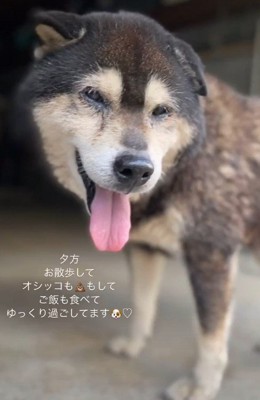家族の元へ戻れました!