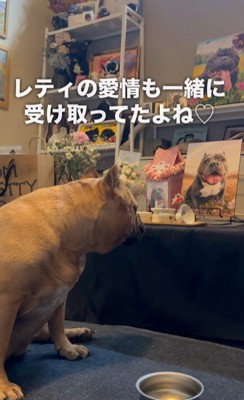 いつでも一緒だね