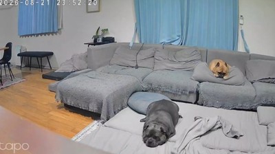 最期まで母でした