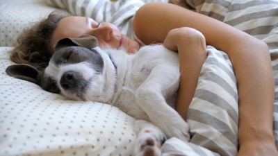 布団に入って眠る犬と女性