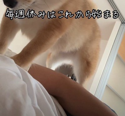 夫婦を起こすのは…