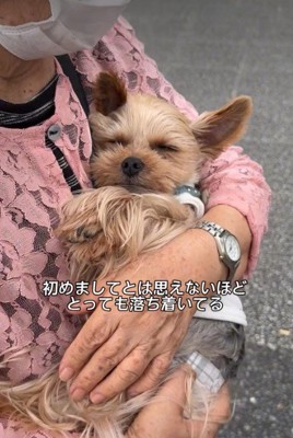 まるで赤ちゃんみたい…