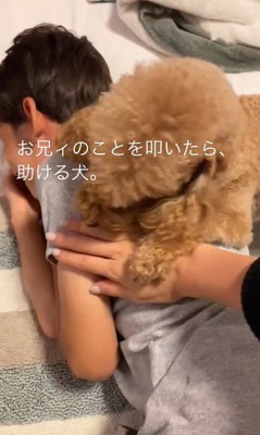 家族を叩くフリをした時のカブ子ちゃん5