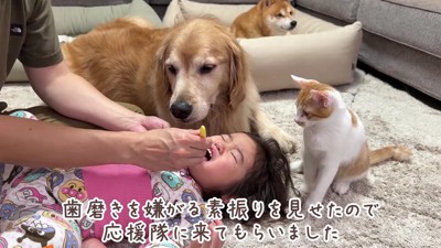 可愛い応援隊が♡