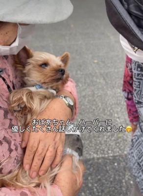 話しかけられると…