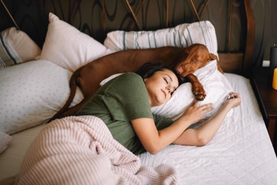 ベッドで眠る犬と女性