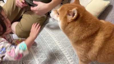 「よくがんばったね!」