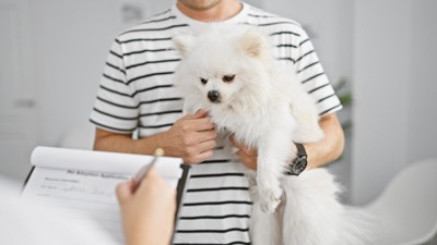 動物病院で相談する飼い主に抱きかかえられている犬