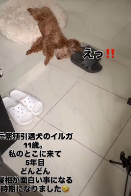 無防備な姿でスヤスヤ♡