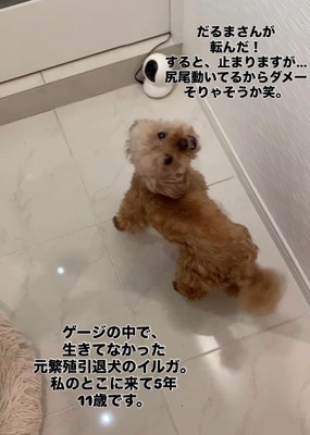 「どう？止まれたでしょ？」
