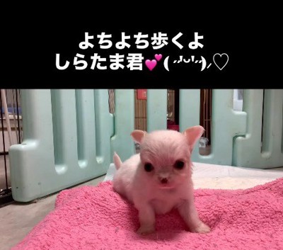 少しずつ成長しています♪